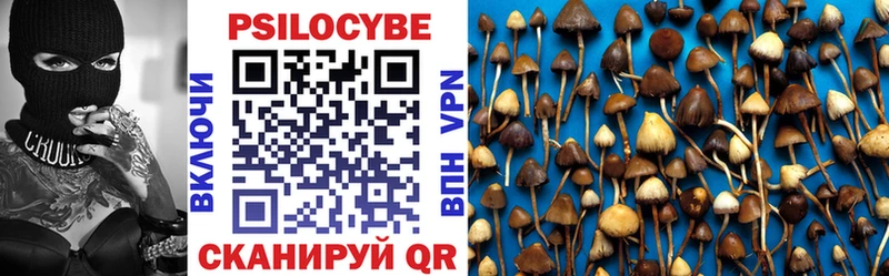 нарко площадка телеграм Гусь-Хрустальный Псилоцибиновые грибы Cubensis кракен как войти